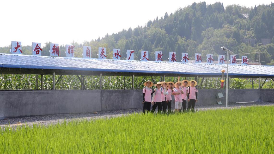 bevictor伟德官网