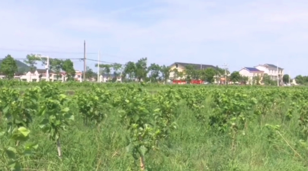 6b8ac3cf8ec7457b9c1845f6af6ef743.png bevictor伟德官网