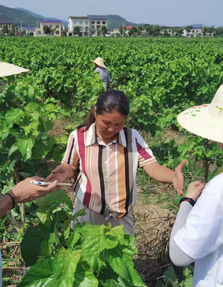 c6ba3f0a19a0444a8995fed7fddf2d42.png bevictor伟德官网