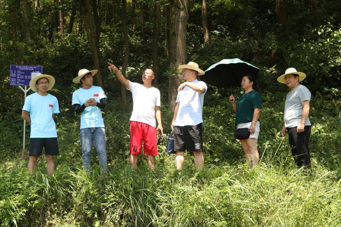 bevictor伟德官网