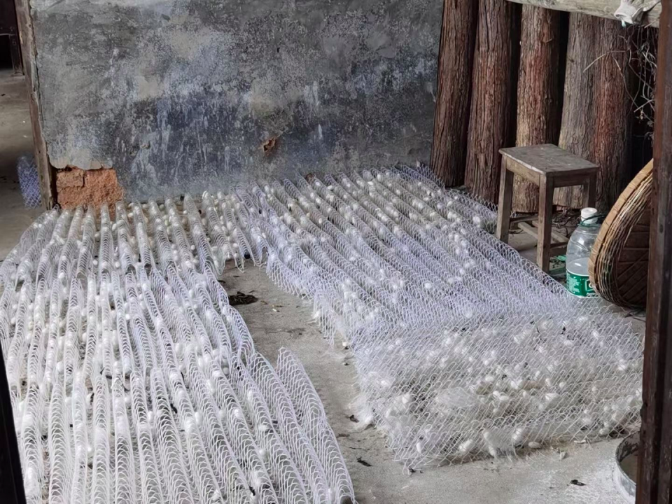 e64a84dcb8cc4213ba8a72bd4f145623.png bevictor伟德官网