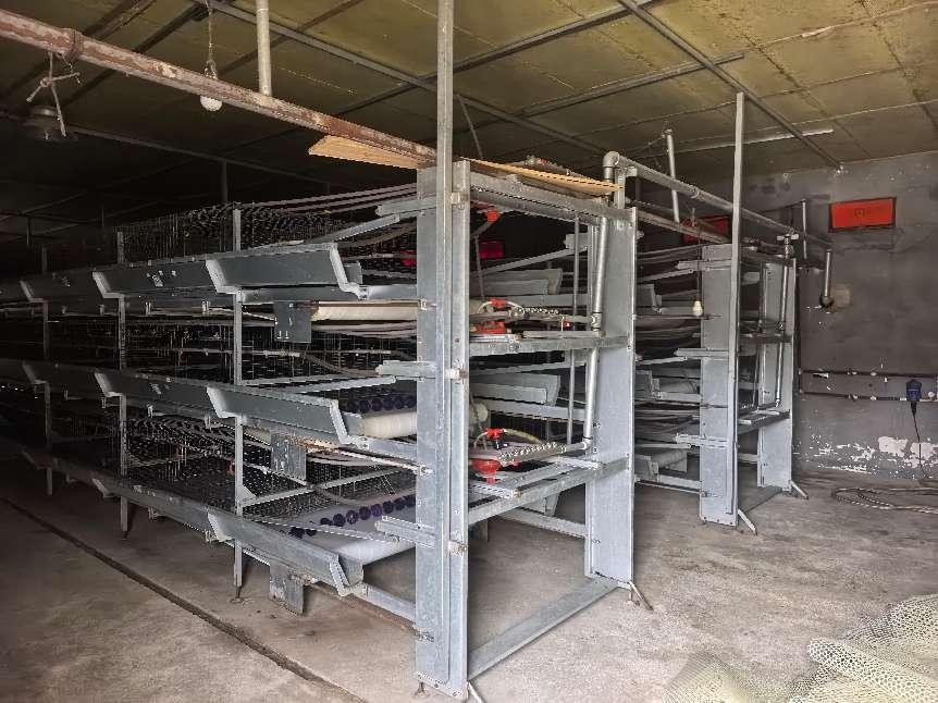 bevictor伟德官网