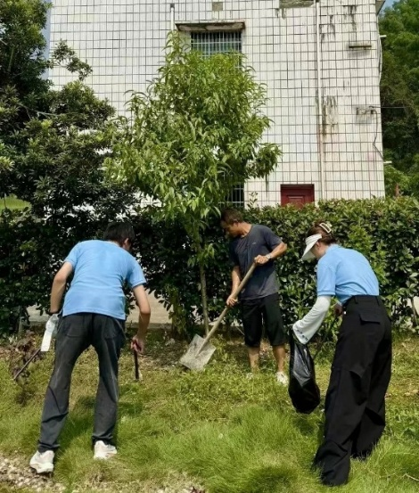 bevictor伟德官网