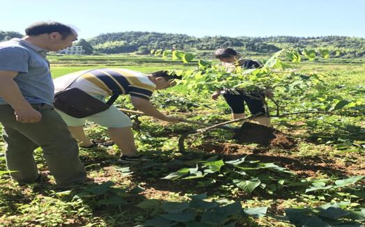 bevictor伟德官网